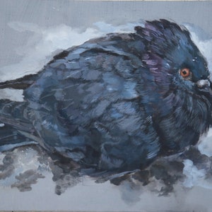 Cartão postal/ impressão artística do Pombo Fofo