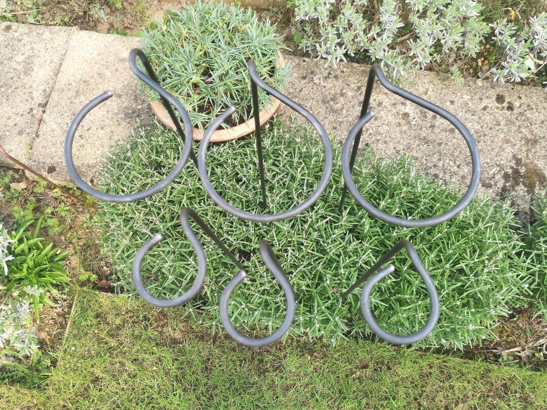 Loop Support Plant Plant Supports (5 X Naturally Rusting Loop-supports) Made in UK From ...