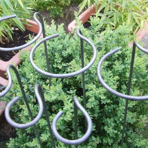 Plant Supports (5 x Naturally Rusting Loop-Supports) Made in UK from Solid 6mm Metal.