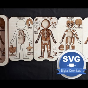 Anatomy Puzzle Laser Cutter Design Files