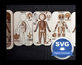 Anatomy Puzzle Laser Cutter Design Files