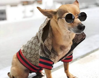 gucci dog jacket