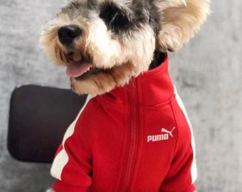 puma dog clothes
