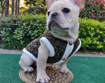 gucci dog coat