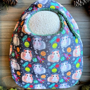 May include: A pet carrier with a space-themed design. The carrier features a dark gray background with illustrations of guinea pigs in astronaut helmets, rockets, planets, and stars. The opening is lined with green trim and contains a white, textured interior.