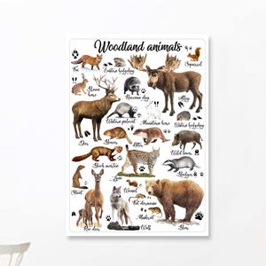 Montessori Arte educativo Bosque animales Home Decor Digital Imprimible Instantánea Descarga Montessori Materiales Preescolar Kindergarten
