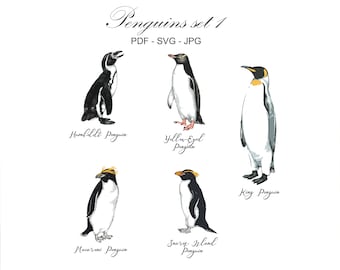 Penguins Vector Art, Children's Room Decor (SVG, JPG, PDF)