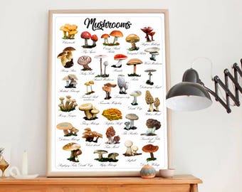 Mushroom Botanical Chart Art Print, Kitchen Wall Decor (Digital Download)