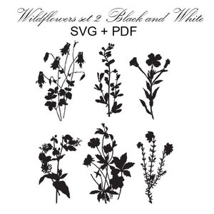 ワイルドフラワー セット 2、白黒、花 svg、pdf、植物プリント、花 6 個、ワイルドフラワー、自然植物学、キッチン装飾農家