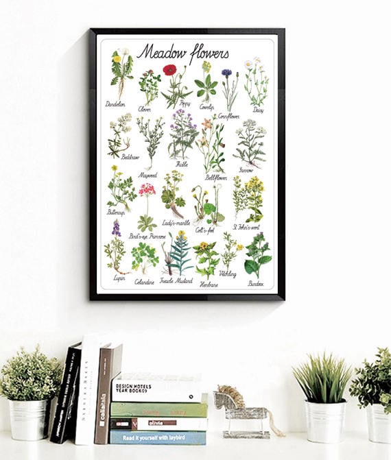 Montessori Preschool Kindergarten Printable Flowers Art Etsy