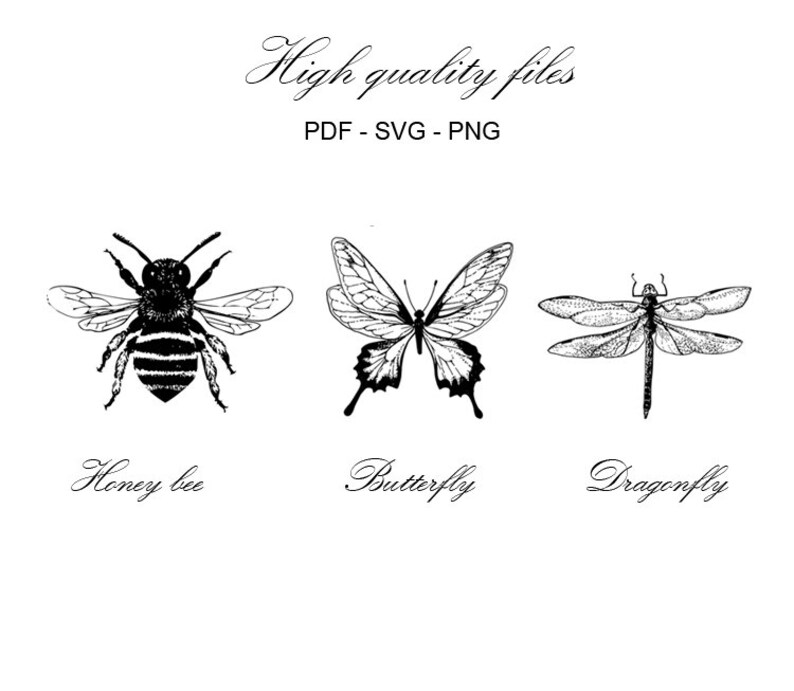 Download Insects set 2 SVG PDF PNG High quality print ladybird | Etsy