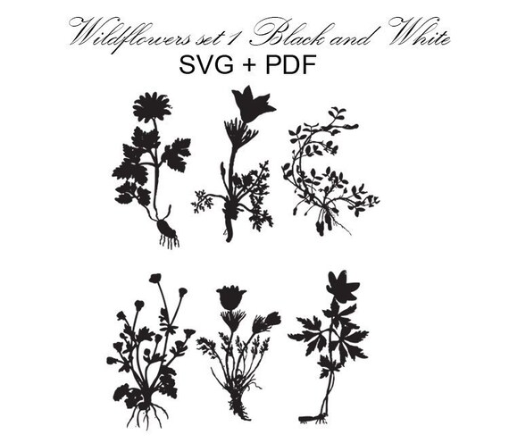 Download Wildflower Set 1 Black And White Flowers Svg Pdf Botanical Etsy 3D SVG Files Ideas | SVG, Paper Crafts, SVG File