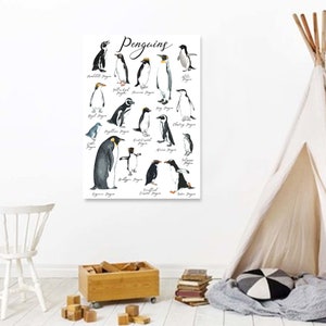 Adelie Penguin, penguins, wall art, poster, kids room art, vector files, digital art, Nursery Animal Wall Art, Endangered Species