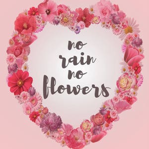 No Rain No Flowers Motivational Poster