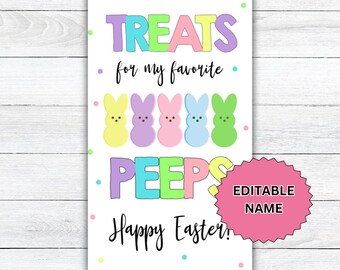 Easter Gift Tag, Easter bunny, Favor gift tag, Easter Basket gift tag,  Happy Easter Gift Tag, Student Class Easter tag Printable Download