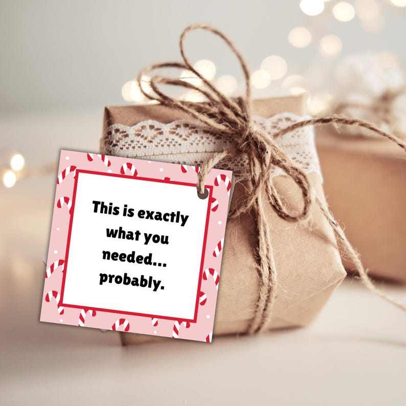 May include: Pink and white gift tag with red and white candy cane pattern. The tag has white text that reads "This is exactly what you needed... probably."