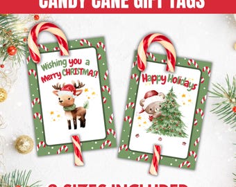 Etichetta regalo di Natale a forma di bastoncino di zucchero, etichette regalo per bomboniere a forma di bastoncino di zucchero per bambini, porta-regalo a forma di bastoncino di zucchero, regalo di Natale per l'aula, regalo di Natale stampabile