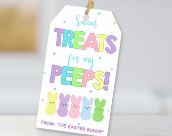 Easter Gift Tag, Easter bunny, Favor gift tag, Easter Basket gift tag,  Happy Easter Gift Tag, Student Class Easter tag Printable Download