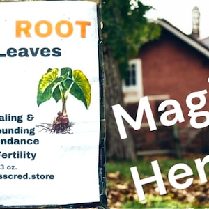 Dried Taro Root Leaves
