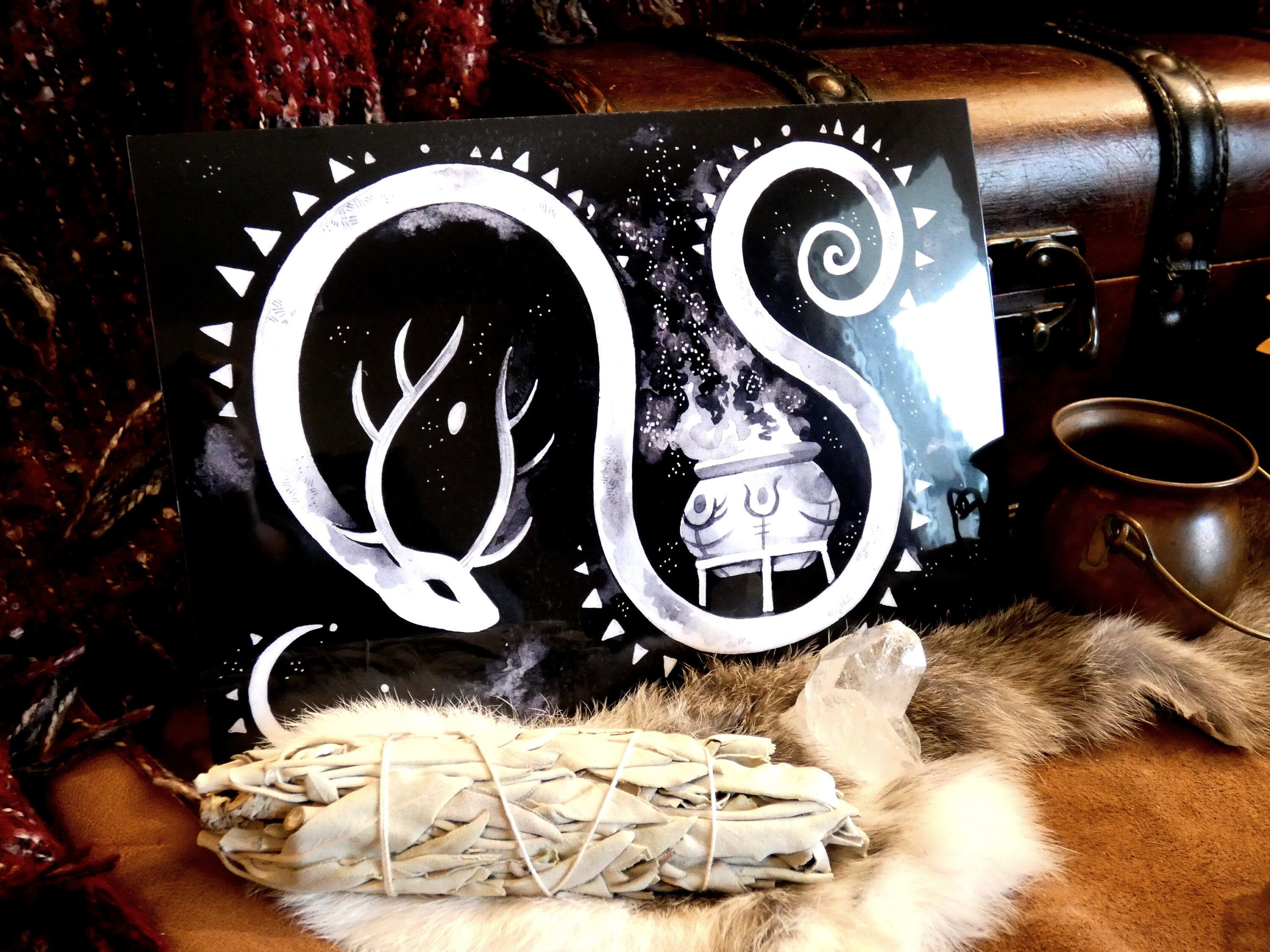 Illustration Rigide - Serpent Cornu