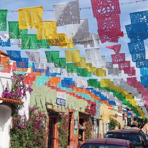 Mexican plastico picado banner / cinco de mayo decor / mexican fiesta decoration / 16 feet garland image 2