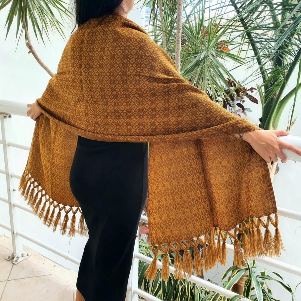 Handwoven Mexican LightWeight Rebozo Scarf Fringed Shawl