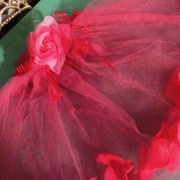 Hot Pink Ballet Tutu with Rose Petals in Skirt and Rose on Waist