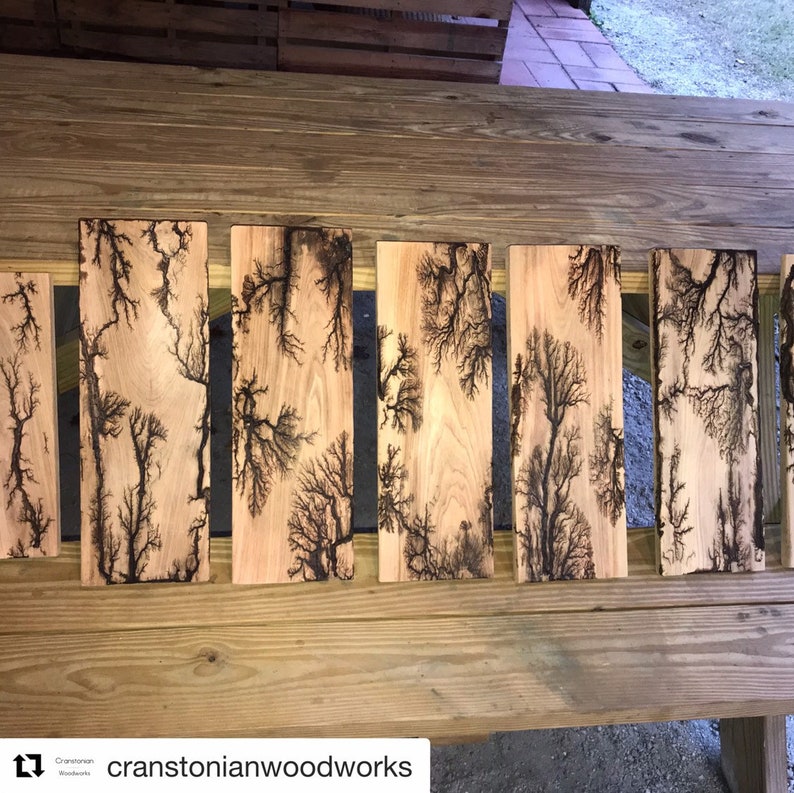 Lichtenberg fractal wood burning art Etsy