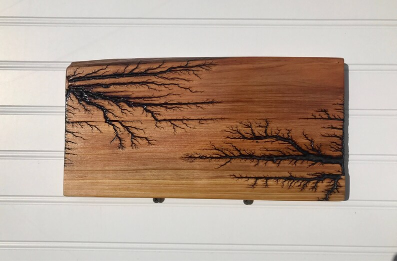 Lichtenberg fractal wood burning art Etsy