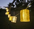 Disney Tangled Rapunzel Lanterns for C7 Style String Lights 12-Pack