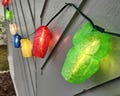 Owl Lanterns for String Lights