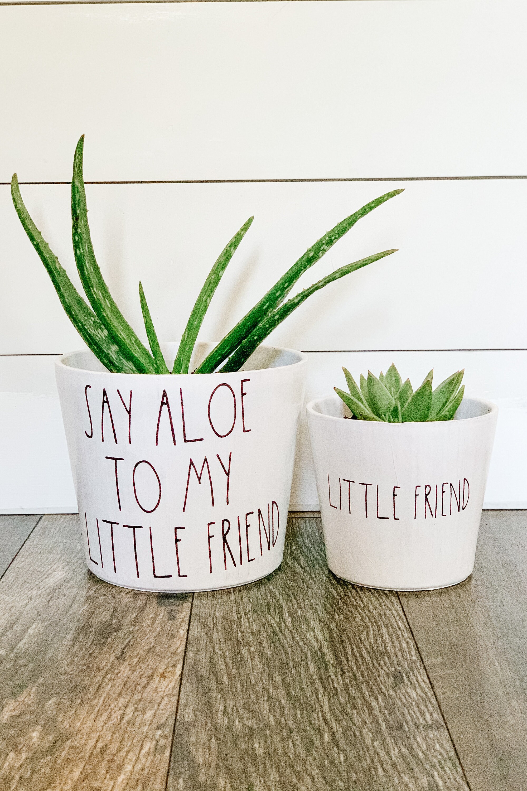 Say Aloe To My Little Friend Planter Set Punny Pot Funny Etsy