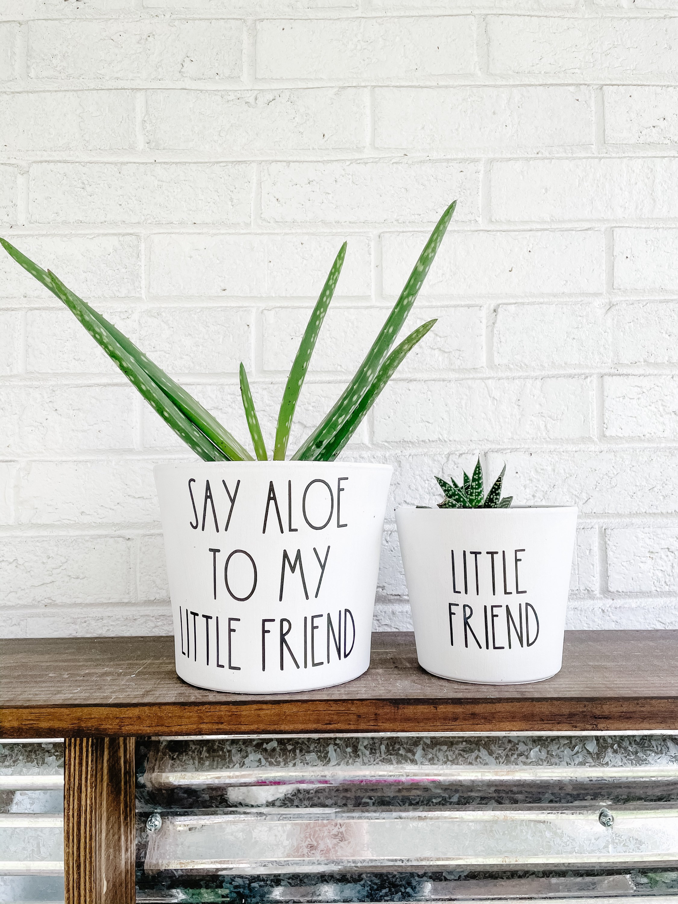 Say Aloe To My Little Friend Planter Set, Punny Pot, Funny Plant Pot, Cute Gift Idea