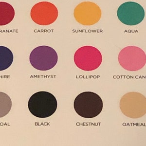 Pu&ograve; includere: Una tavolozza di colori con 18 campioni di colore circolari con i nomi corrispondenti. I colori includono: Crimson, Pomegranate, Carrot, Sunflower, Aqua, Grass, Peacock, Sapphire, Amethyst, Lollipop, Cotton Candy, Cream, White, Charcoal, Black, Chestnut e Oatmeal.