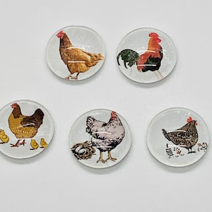 Chicken magnet set, chicken magnet set, rooster magnet, handmade chicken magnet set of 5, chicken gift,
