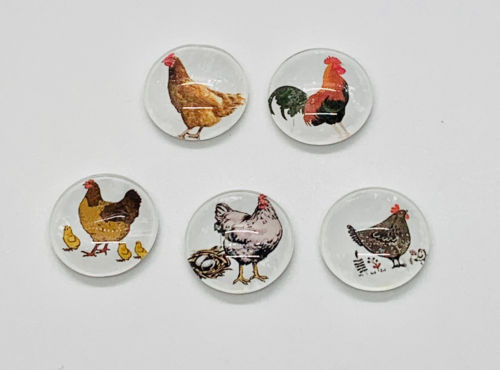 Set of 5 Silkie Chicken Magnets Pretty Fridge Magnet Cute Chicken Chicken  Decor Chicken Lady Gift Idea Farmhousemaven 