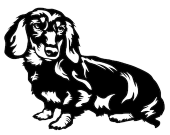 Dachshund decal, dachshund sticker, dachshund car decal, dachshund car sticker, long haired dachshund decal
