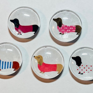 Dachshund magnet, dachshund magnets, dachshund gift, weiner dog gift, dachshund handmade, five magnets with dachshunds, dachshund lover gift