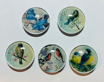 Bird magnet set, bird magnet, handmade bird magnets set of 5, bird gift, set of five magnets. Gift for bird lovers