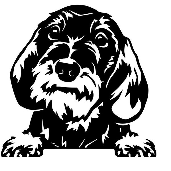 Dachshund decal, wire hair dachshund sticker, dachshund car decal, dachshund car sticker, dachshund decal, wire haired dachshund