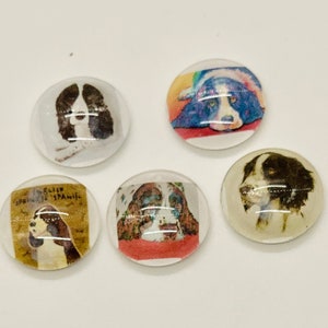 english springer spaniel, glass magnet set, springer spaniel magnets, english springer spaniel home decor, springer spaniel gift
