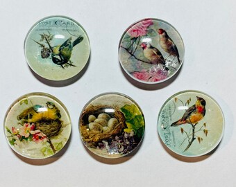 Bird magnet set, bird magnet, handmade bird magnets set of 5, bird gift, set of five magnets. Gift for bird lovers