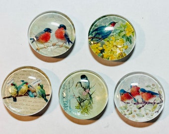 Bird magnet set, bird magnet, handmade bird magnets set of 5, bird gift, set of five magnets. Gift for bird lovers