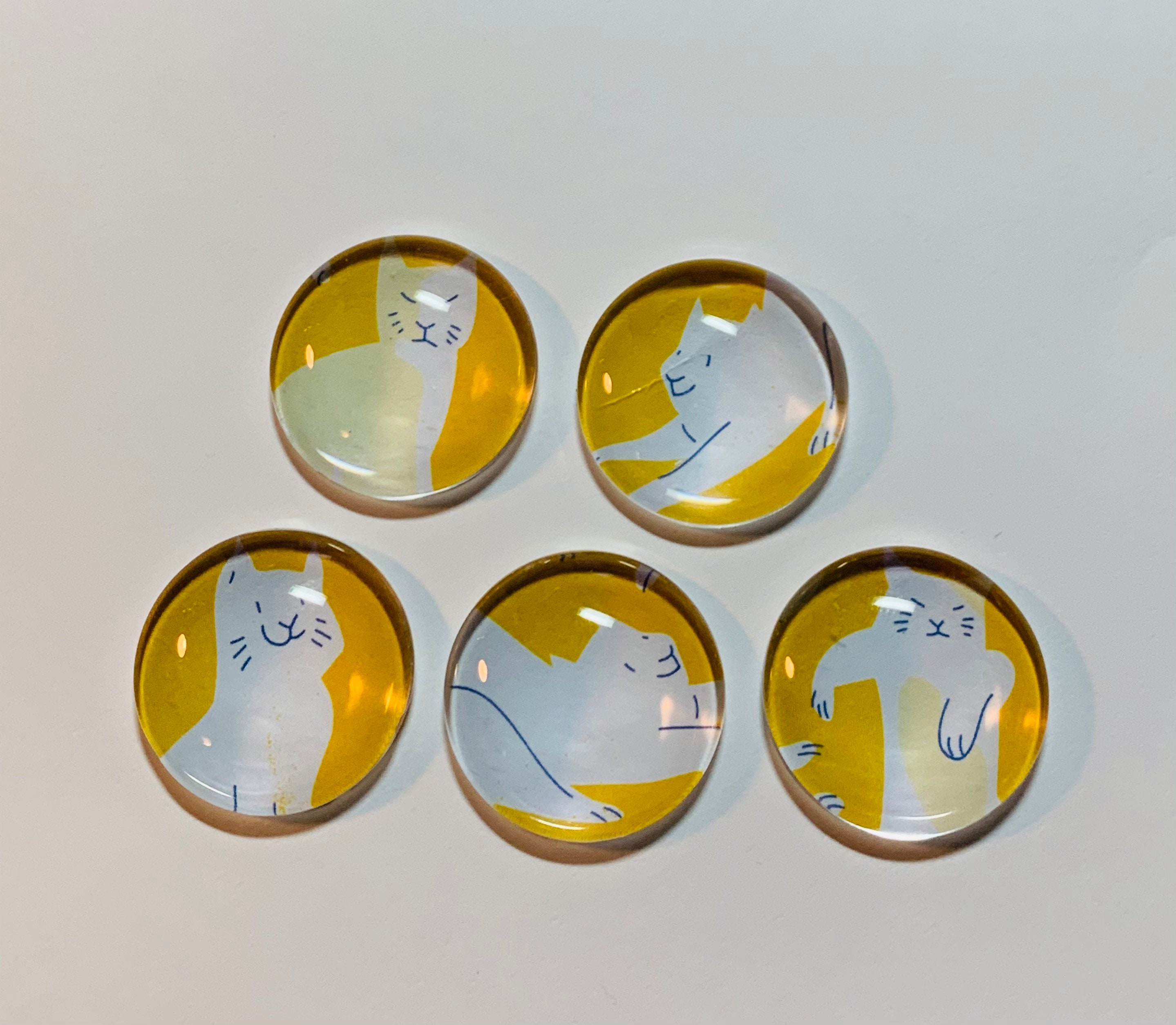 6) Glass Cat Magnets - GO HOME Unusual Decor and Gifts