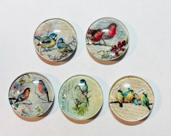 Bird magnet set, bird magnet, handmade bird magnets set of 5, bird gift, set of five magnets. Gift for bird lovers