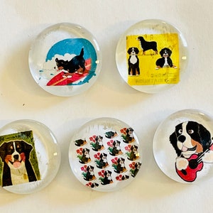 Bernese mountain dog, glass Magnet set, dog magnets, bernese magnets, dog gift, bernese mountain dog gift, dog, handmade magnets