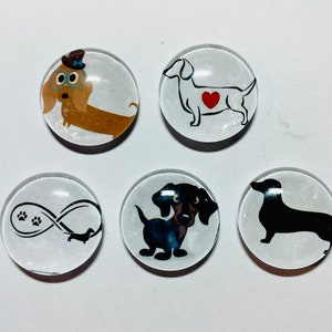 Dachshund magnet, wiener dog gift, dachshund magnet set, dachshund gifts, Doxie magnet set, Wiener dog magnet set immagine 1