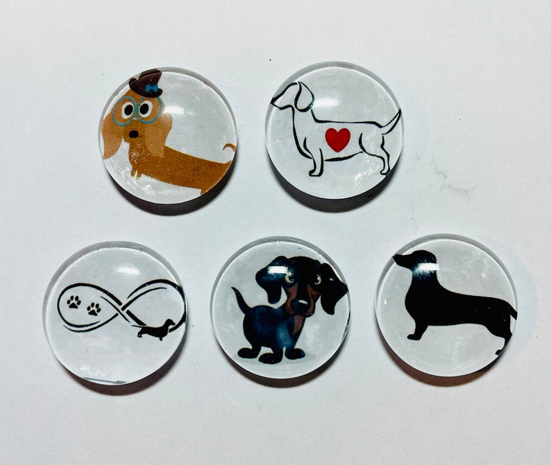 Dachshund magnet, wiener dog gift, dachshund magnet set, dachshund gifts, Doxie magnet set, Wiener dog magnet set immagine 1