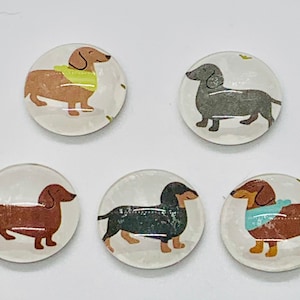 Dachshund magnet, dachshund magnets, dachshund gift, weiner dog gift, dachshund handmade, set of five 1"  magnets “dachshunds in scarves”