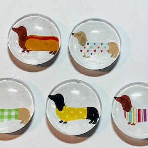 Dachshund magnet, dachshund magnets, dachshund gift, weiner dog gift, dachshund handmade, 1&quot; magnets dachshunds, dachshund lover gift